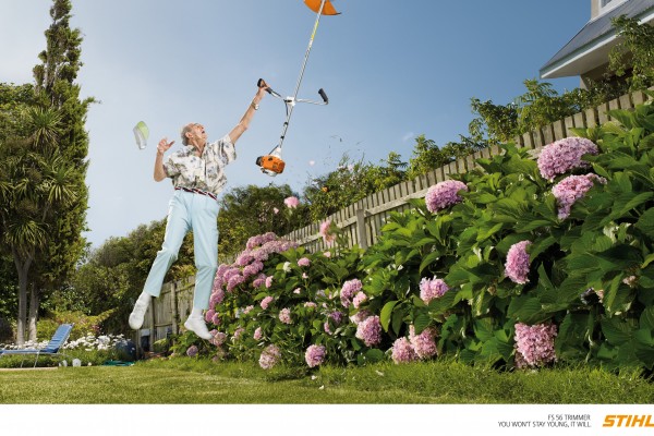 DP STIHL VIKING  ANG1